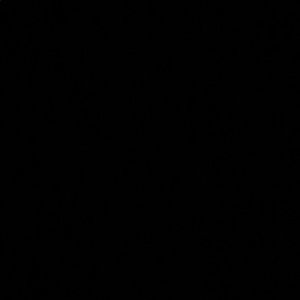 Meet your Posher, Tomas